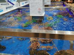 -盒马鲜生(财富中心店)