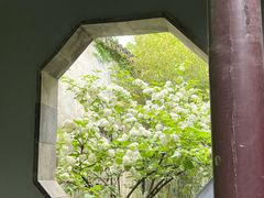 -惠山古镇·寄畅园