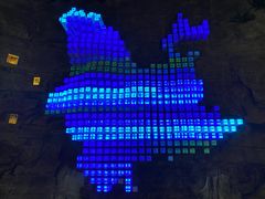 -花之城