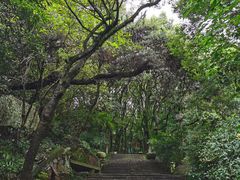 -宁波市保国寺古建筑博物馆