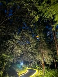 -我舞空间舞蹈培训