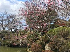 -有栖山 清光院 清水寺