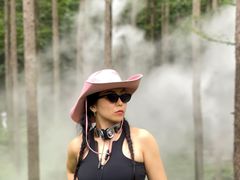 -洛阳白云山景区