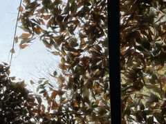 -VOYAGE COFFEE(北锣鼓巷店)