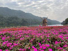 -广州市石门国家森林公园
