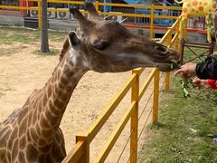 -西霞口神雕山野生动物世界