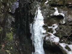 -藏龙百瀑风景区