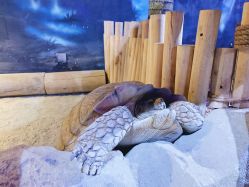 -酷嗒动物文化乐园(cutezoo西溪乐天城店)