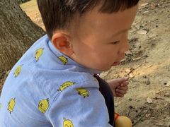 -艾溪湖湿地公园