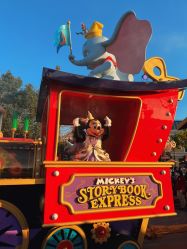 -翱翔飞越地平线