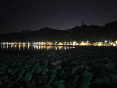 -湖畔居茶楼(湖滨店)