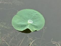 -云岗森林公园