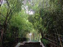 -西安市长乐公园