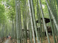 -宝岩生态观光园