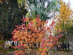 -莲花池公园