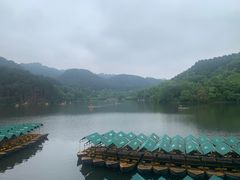 -黔灵山公园