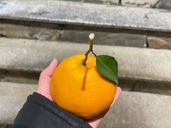 -盟重烧烤(高正街店)