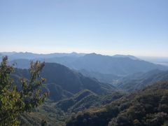 -大岭沟猕猴桃谷风景区