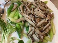 -清水蘭軒
