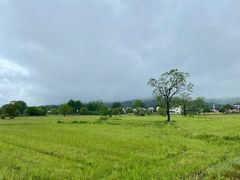 -塔川景区