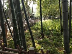 -浙江大学(玉泉校区)
