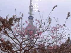 -文华公园(禅城区)