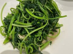 -圆苑(静安寺店)