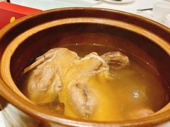 -金河半岛园林酒家(金融城店)