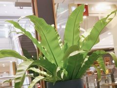 -港丽餐厅(杭大店)