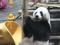 -栾川竹海野生动物园