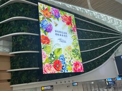 -广州白云国际机场-T2航站楼