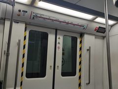 -宋家庄(地铁站)