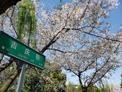-百花洲