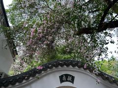 -深圳国际园林花卉博览园