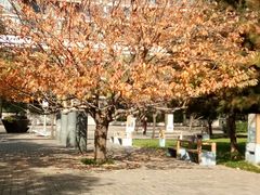 -唐城墙遗址公园