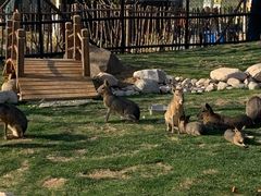 -祥源·阜阳生态乐园