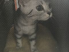 -北京博爱动物医院有限公司