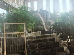 -兴芮温泉度假区