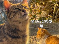 -西园寺
