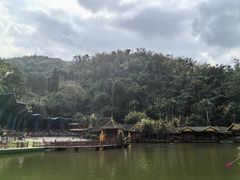 -西双版纳原始森林公园