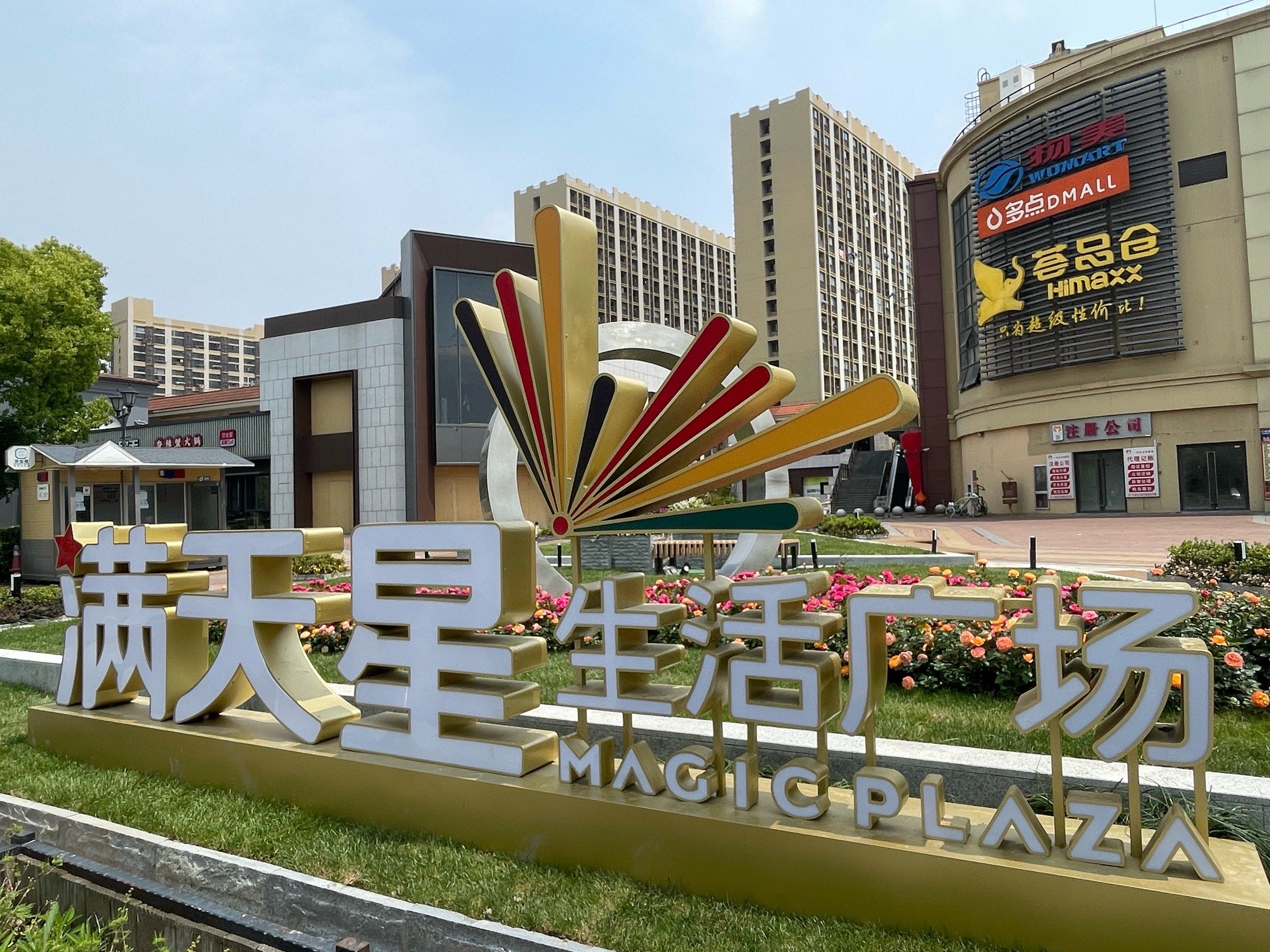 满天星的花坛修好啦