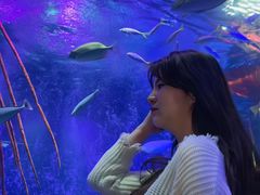 -沈阳海洋探索中心