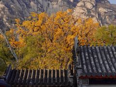 -北京凤凰岭