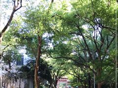 -杭州半山国家森林公园