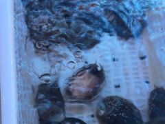-海立阁海鲜江浙菜(漕河泾印象城店)