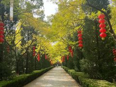 -大槐树寻根祭祖园