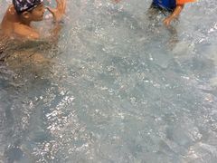 -大康水上乐园