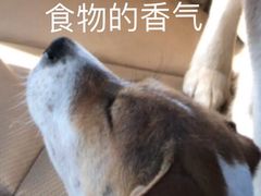 -好人民间小吃(镇江八佰伴店)