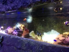 iphone_upload_pic-郑州海洋馆