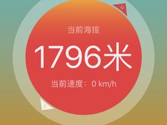 -王家蒸蒸糕烙锅(唐人街店)